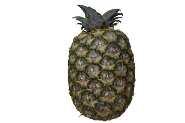 菠萝模型凤梨模型水果模型C4D模型下载