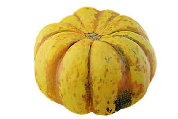 南瓜模型蔬菜模型C4D模型下载