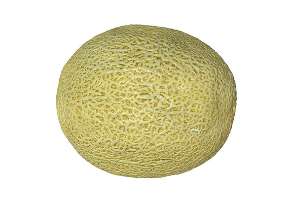 哈密瓜模型甜瓜模型水果C4D模型下载