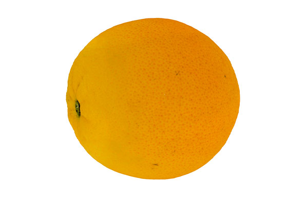 橙子模型水果模型C4D模型下载