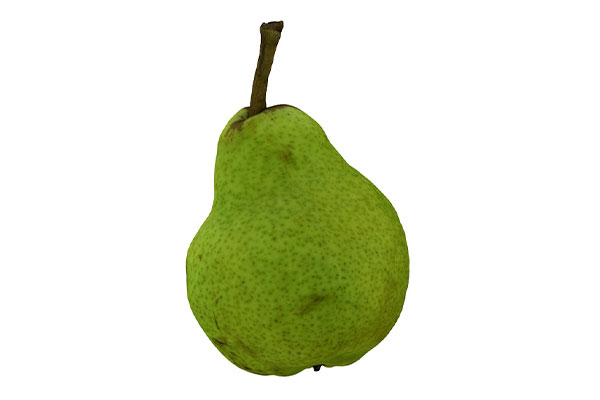 梨子模型水果模型C4D模型下载