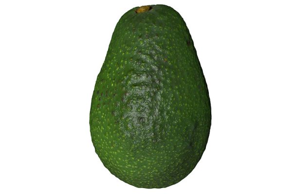 牛油果模型水果模型C4D模型下载