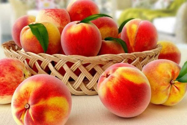 水蜜桃模型桃子模型水果C4D模型下载