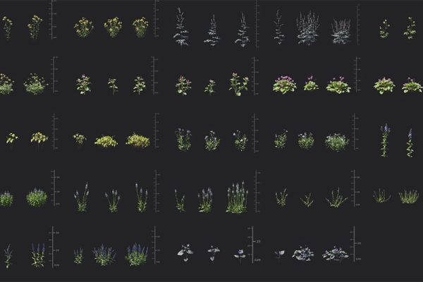 72个高质量花草植物3D模型资产（C4D/MAX/FBXTEX格式） Maxtree Plant Models Vol 111