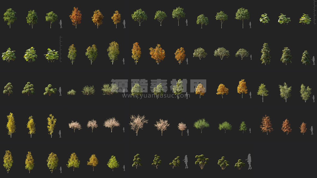 72个高质量景观树植物3D模型（MAX/FBX/C4D/TEX格式） Maxtree Plant Models Vol 110