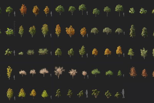 72个高质量景观树植物3D模型（MAX/FBX/C4D/TEX格式） Maxtree Plant Models Vol 110