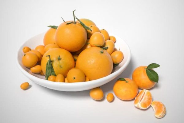 橘子模型桔子模型水果C4D模型下载