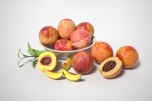 水蜜桃模型桃子模型水果C4D模型下载