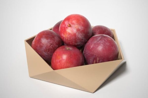 李子模型食物模型水果C4D模型下载