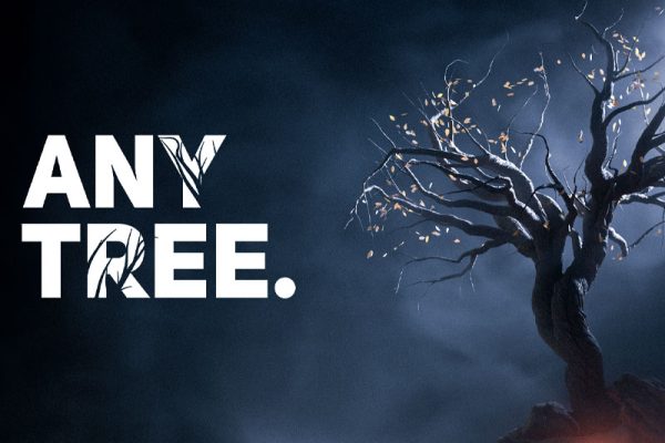 Blender插件-自定义树木植物生长工具 Anytree v1.8