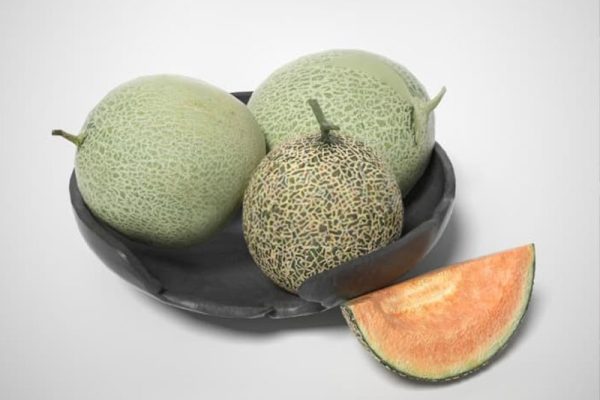 哈密瓜模型食物模型水果C4D模型下载