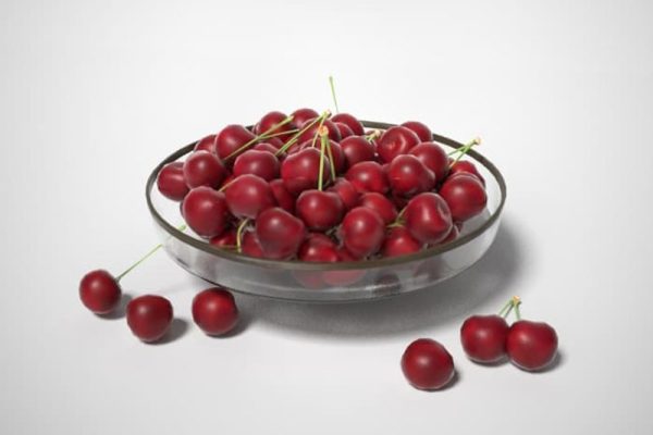 樱桃模型食物模型水果C4D模型下载