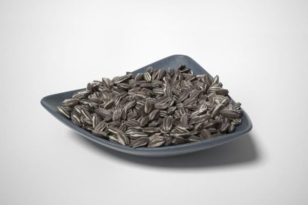 瓜子模型零食模型食物C4D模型下载