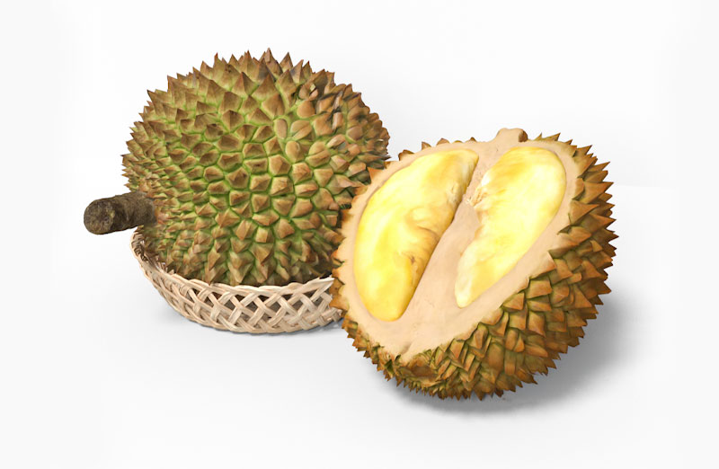 C4D榴莲模型水果模型C4D模型下载