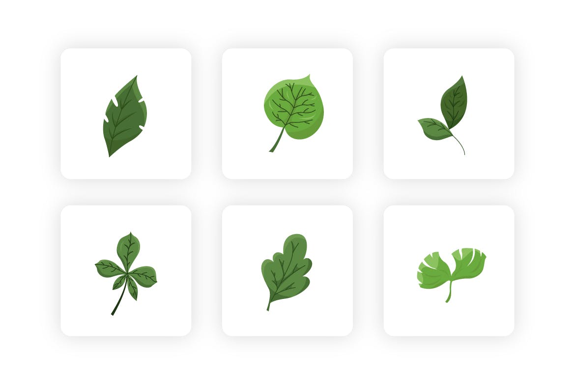 不同叶子矢量图案设计素材 Vector collection of different leaves