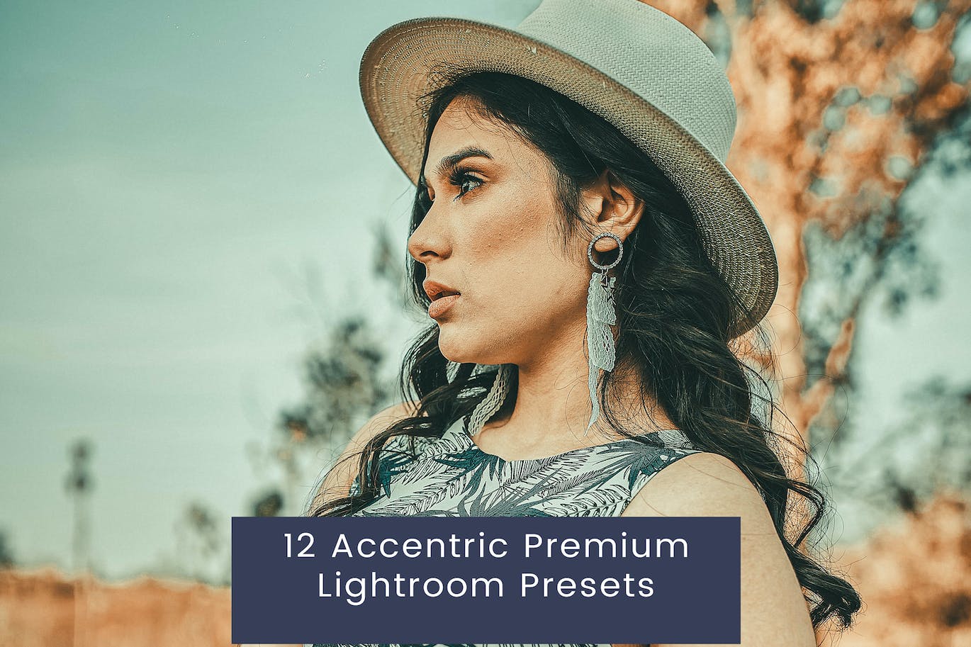 12个社交流行色调LR预设 12 Accentric Premium Lightroom Presets