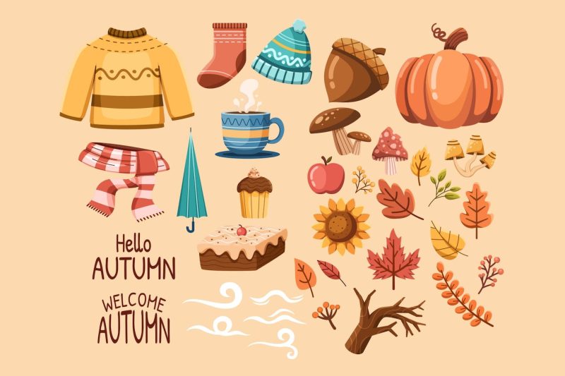 秋季元素手绘图案素材包 Hand Draw Autumn Element