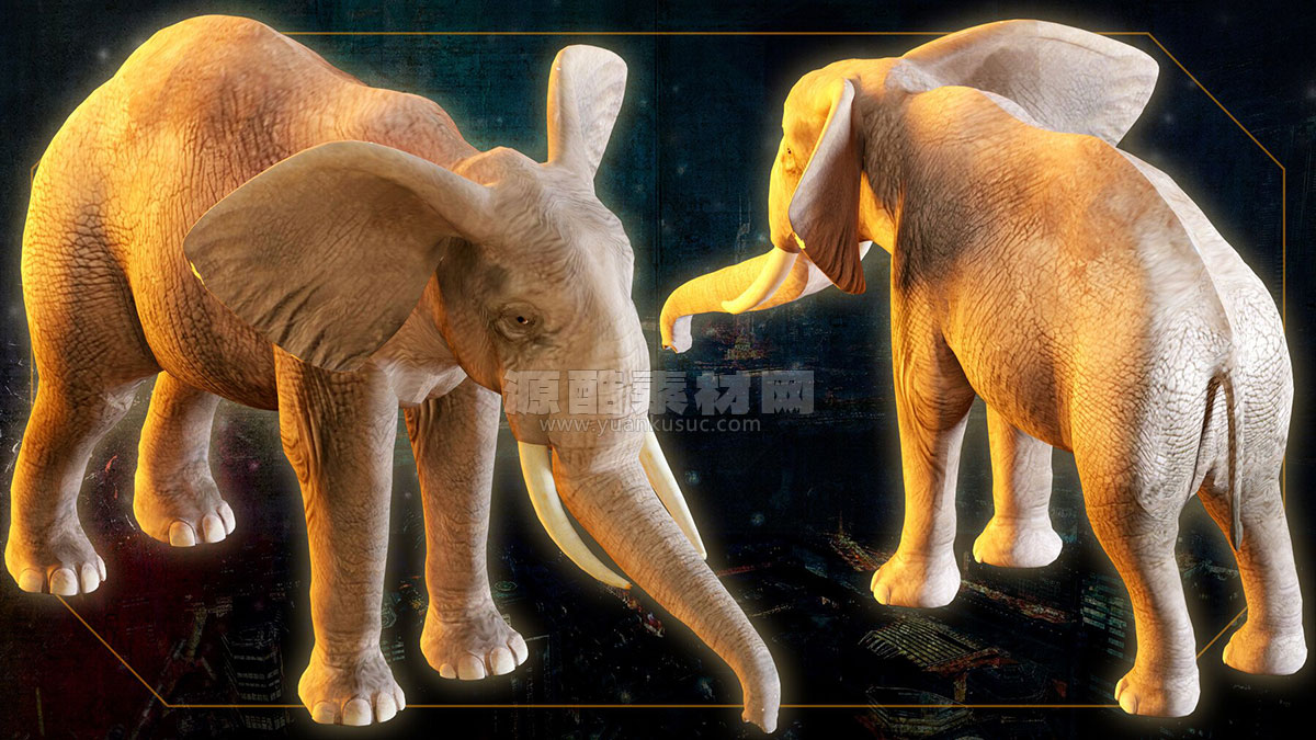 14种动物模型野猪骆驼乌龟羚羊牛蜜蜂鹿3D模型等