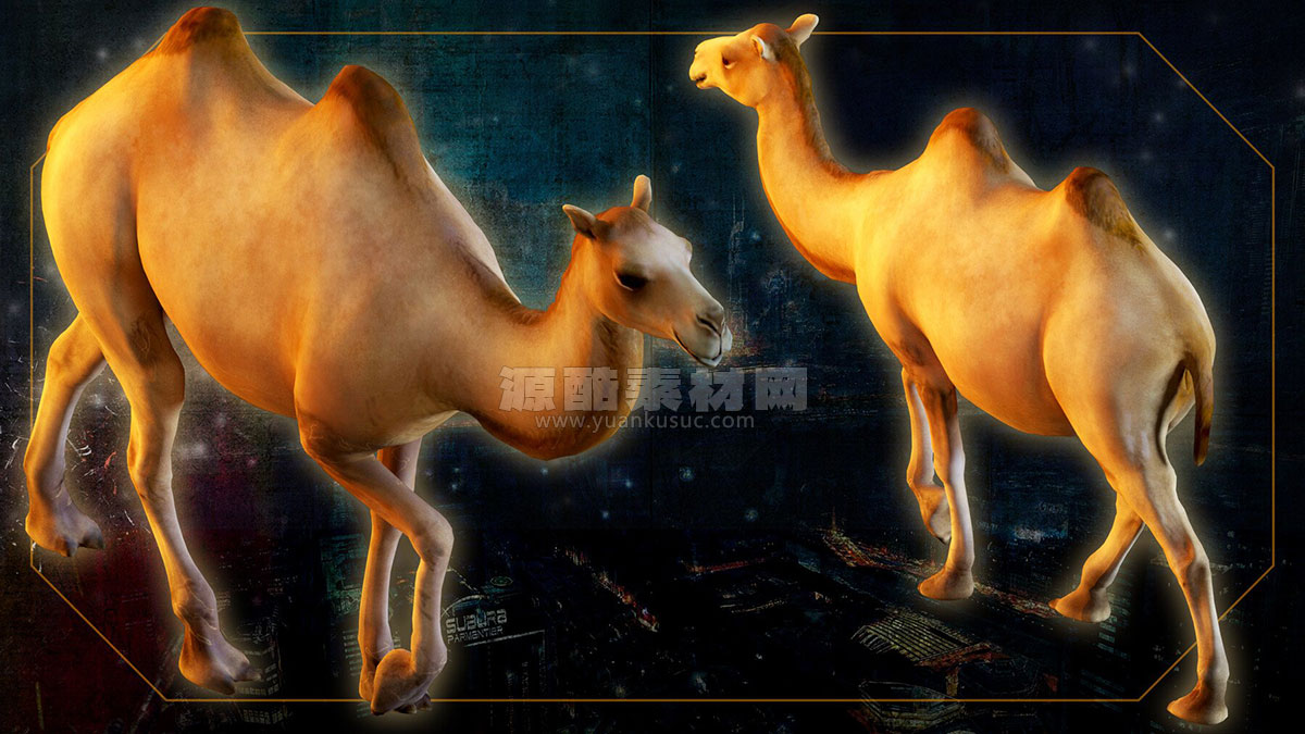 14种动物模型野猪骆驼乌龟羚羊牛蜜蜂鹿3D模型等