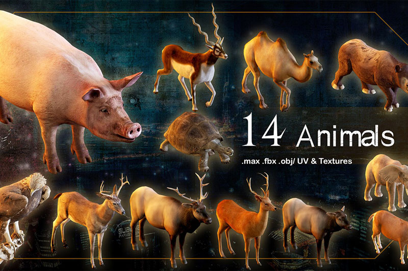 14种动物模型野猪骆驼乌龟羚羊牛蜜蜂鹿等3D模型下载