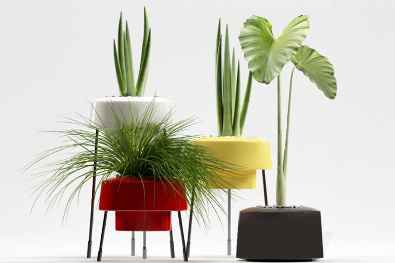 绿植模型盆栽模型花盆模型C4D模型下载