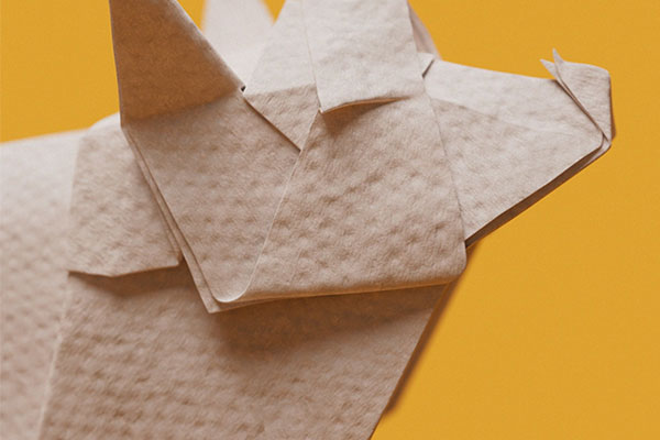 GSG灰猩猩40种纸张材质贴图和预设纸贴图纸材质 Material Papers