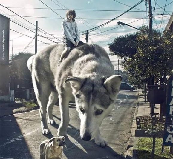 用这4张海报设计来分析,帮你提高审美水平