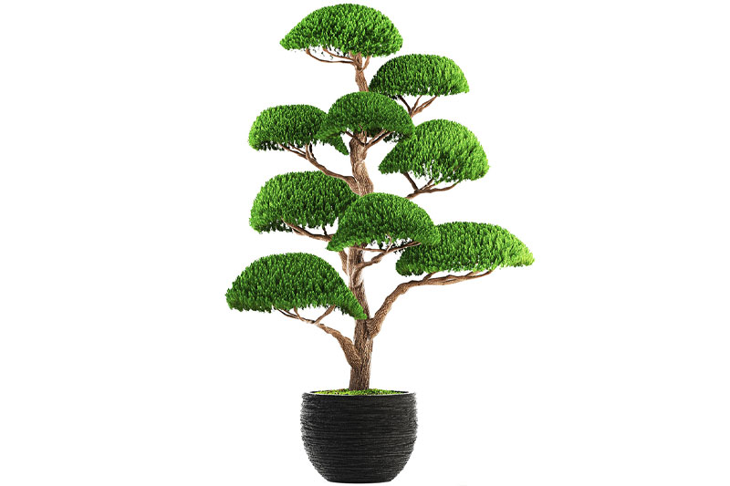 C4D模型-盆栽模型盆景模型绿植C4D模型下载