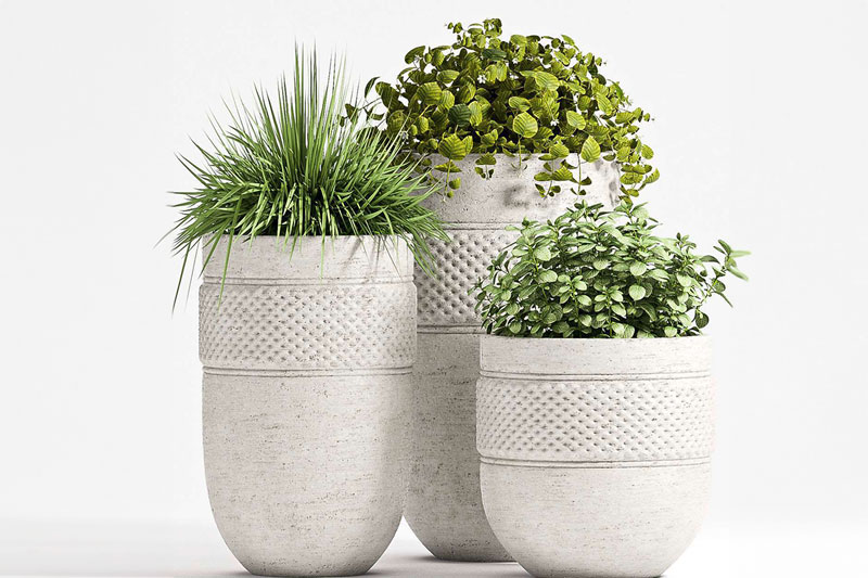 C4D模型-盆栽盆景模型花盆模型绿植C4D模型下载