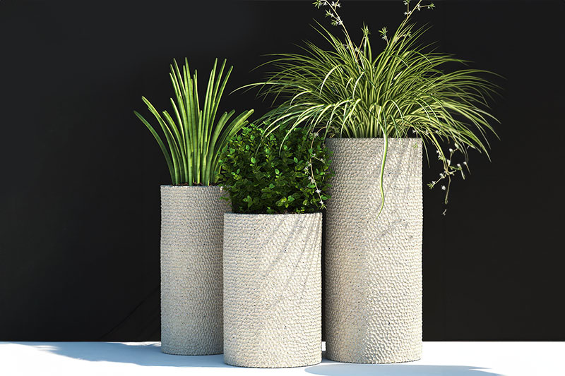 盆栽模型绿植模型花盆C4D模型下载