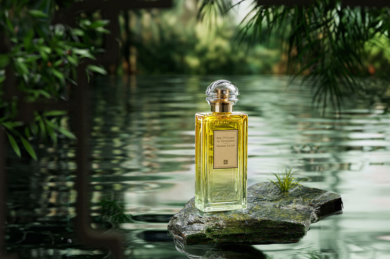 C4D工程-香水场景渲染工程森林小溪场景工程香水C4D模型下载