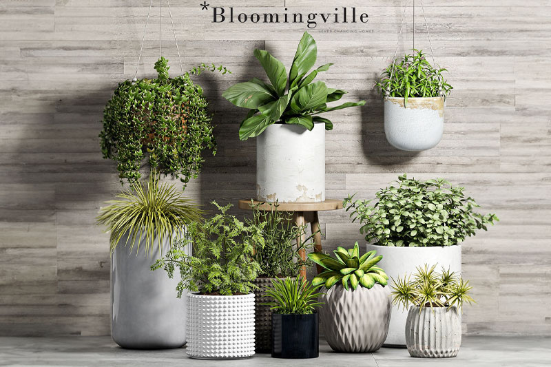 C4D模型-10个盆栽模型花盆模型绿植C4D模型下载