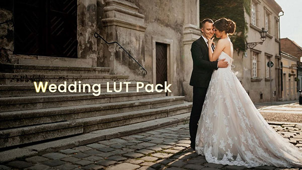 LUTs预设-30个现代婚礼视频调色预设 Color Finale Wedding Pack