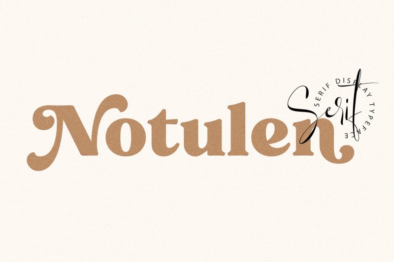 加粗衬线显示英文字体