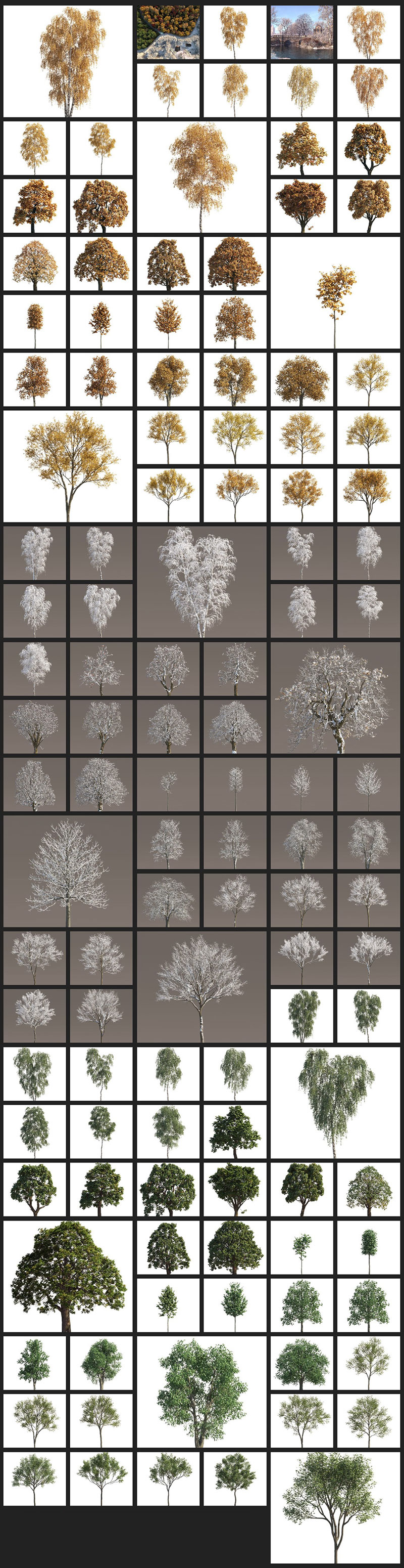 120个夏秋冬天植物树木3D模型下载 Archmodels Vol.258