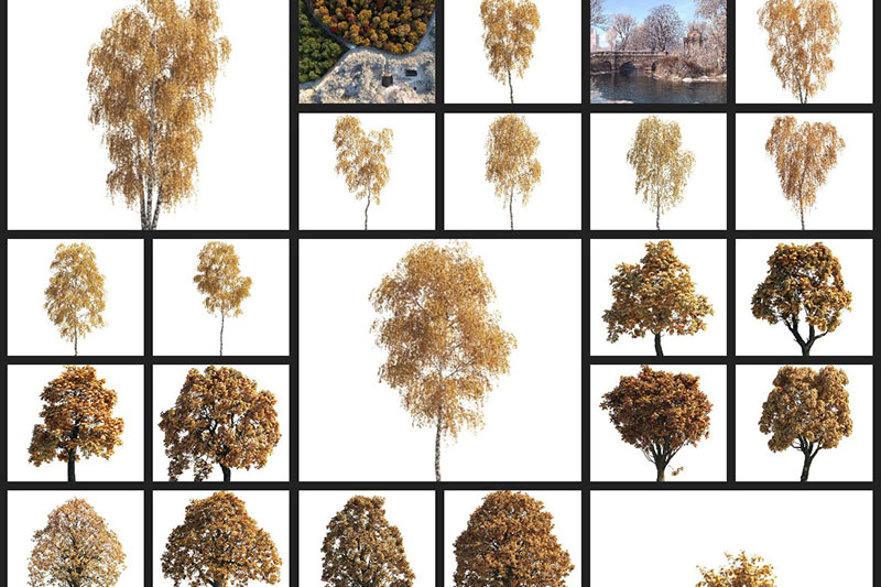 120个夏秋冬天植物树木3D模型下载 Archmodels Vol.258