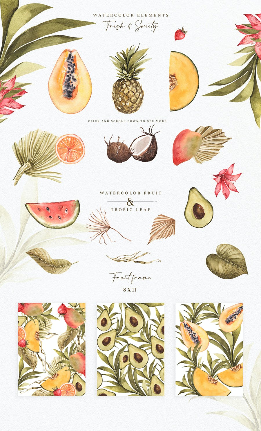 热带树叶&水果手绘插画素材 Tropics Leaf & Fruits