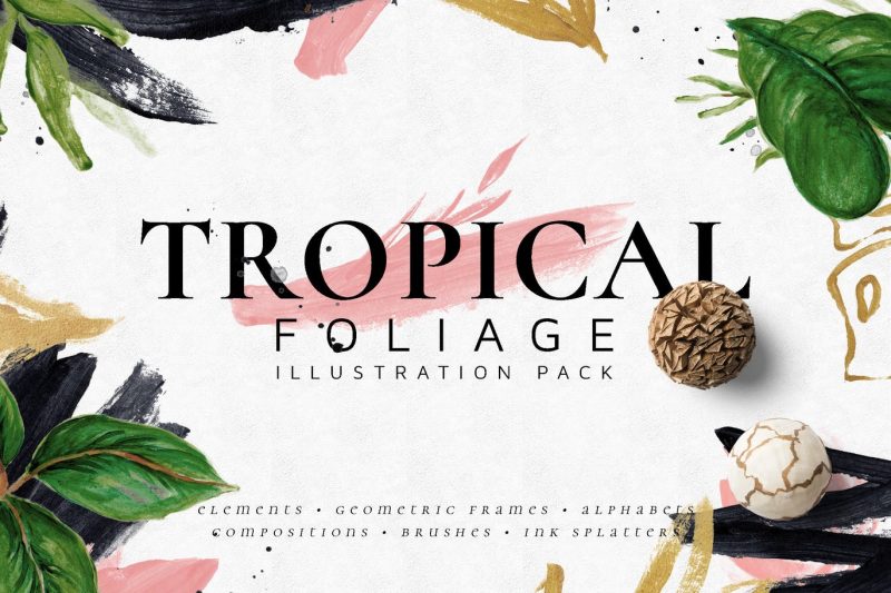 热带树叶手绘插画素材植物免扣元素下载 Tropical Foliage Illustration Pack