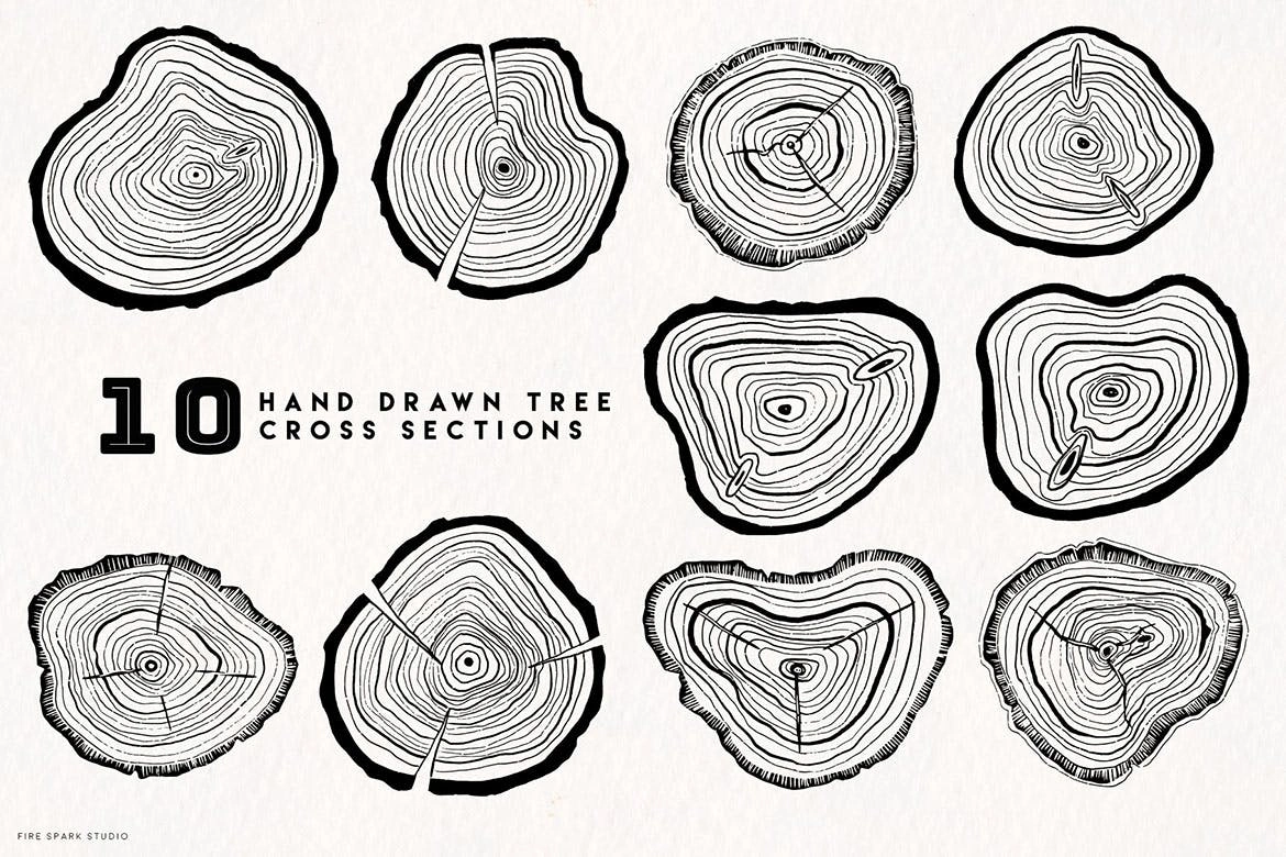裂纹年轮树轮矢量插画素材 Timber Vector Tree Ring Illustrations