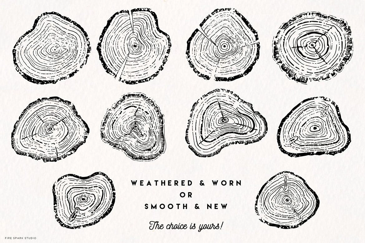 裂纹年轮树轮矢量插画素材 Timber Vector Tree Ring Illustrations