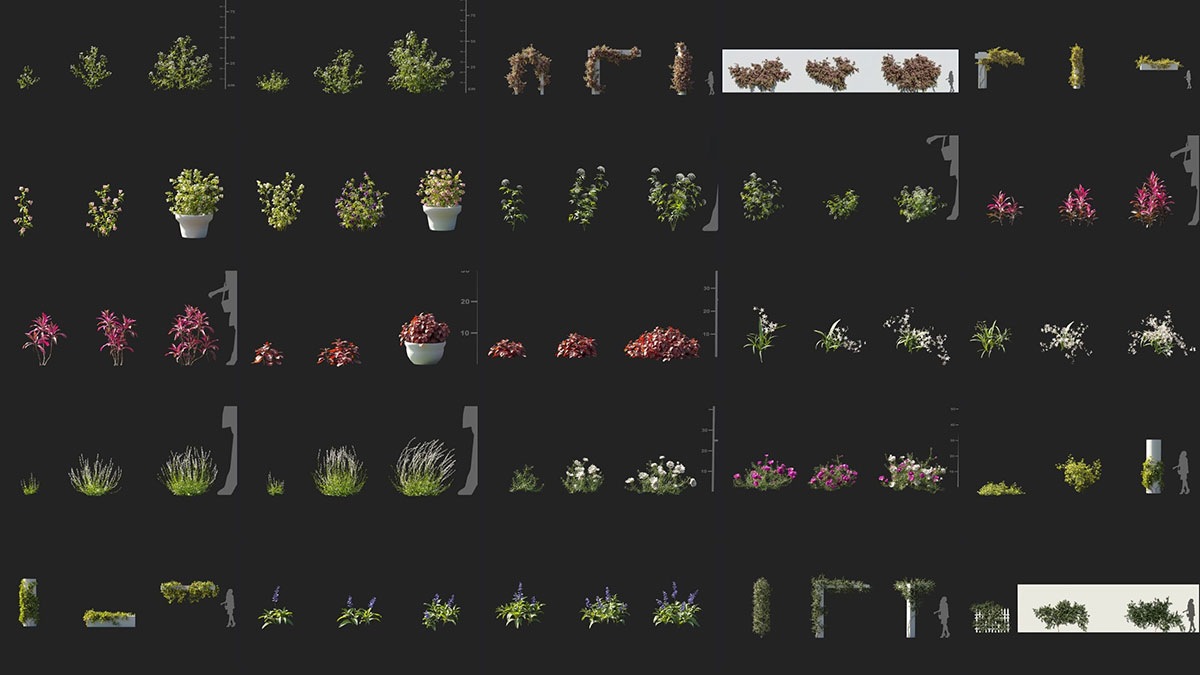 75组高质量小草鲜花植物模型3D模型下载 Maxtree – Plant Models Vol 105 (3DS MAX/FBX格式)