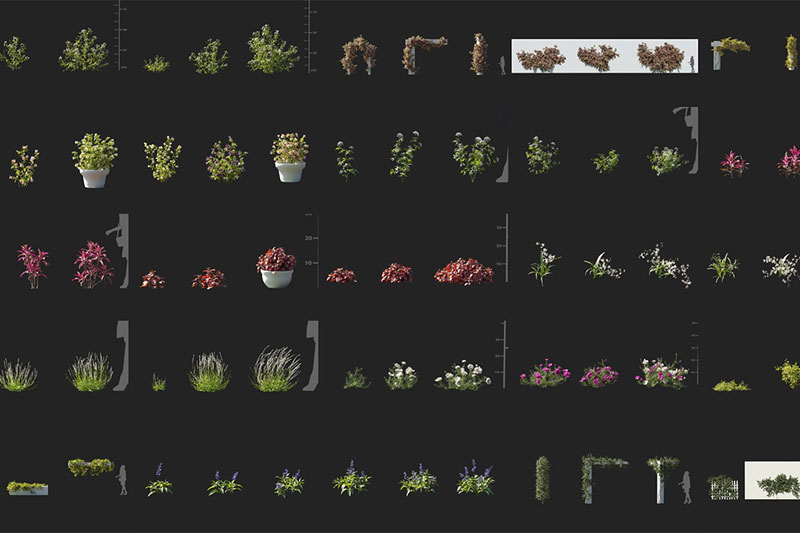 75组高质量小草鲜花植物模型3D模型下载 Maxtree – Plant Models Vol 105 (3DS MAX/FBX格式)