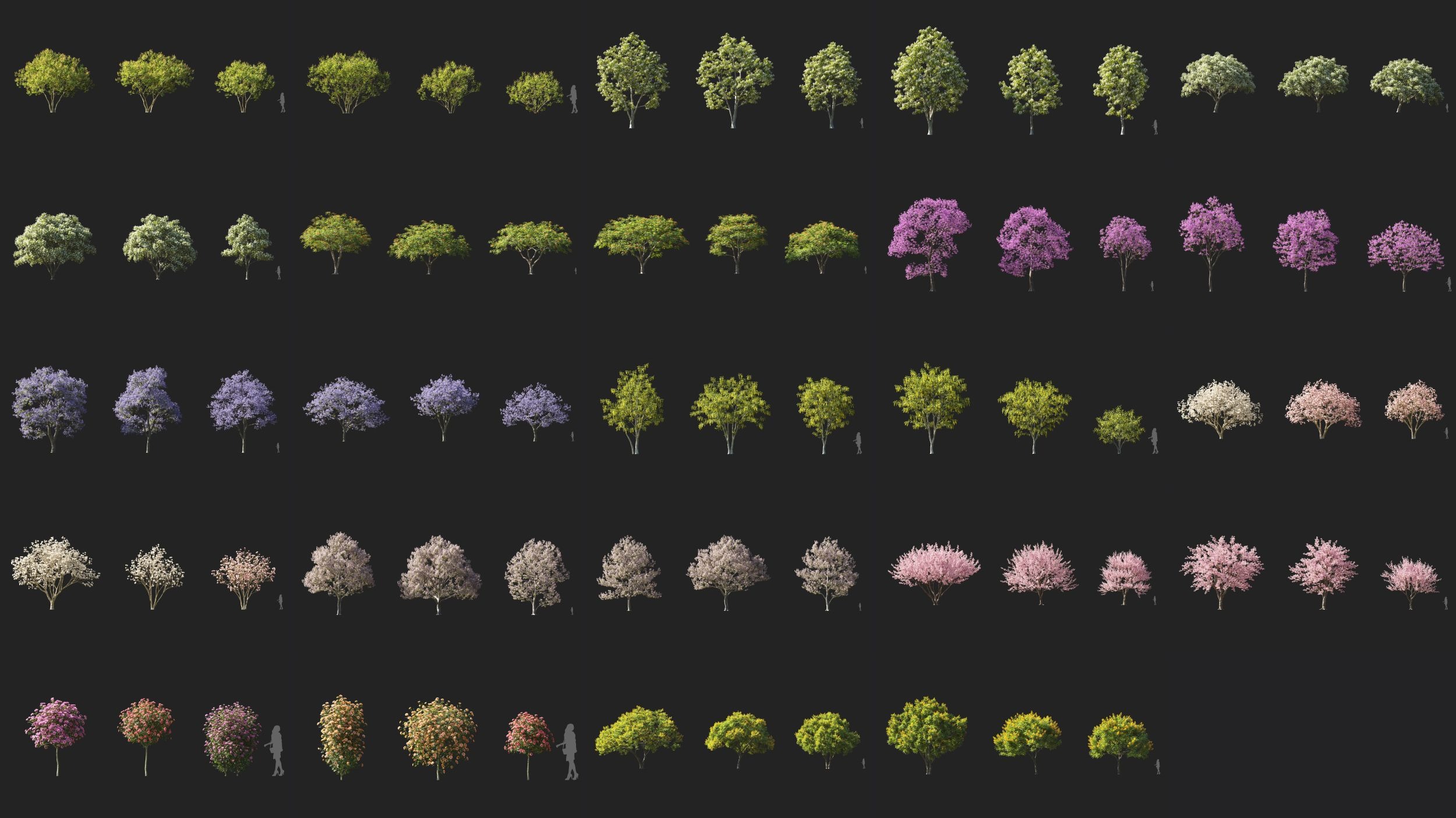 72组高质量开花树木植物模型3D模型下载 Maxtree – Plant Models Vol 107 (C4D/MAX/FBX格式)