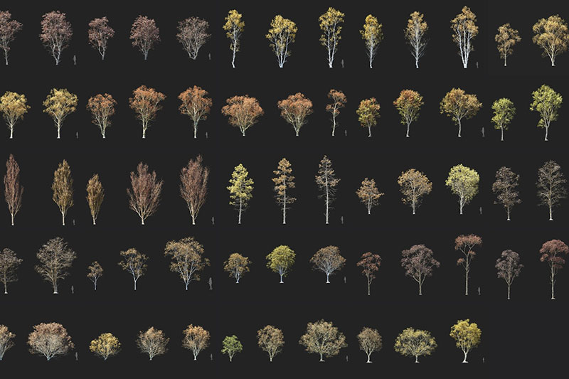 3DS MAX模型-72组高质量秋天树木植物模型 Maxtree – Plant Models Vol 108