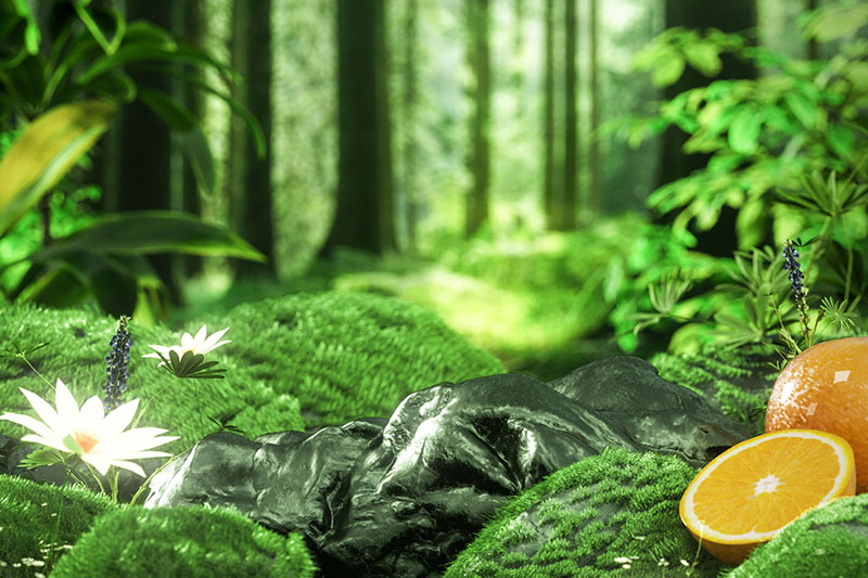 C4D工程-绿色植物产品场景渲染工程植物模型C4D模型下载