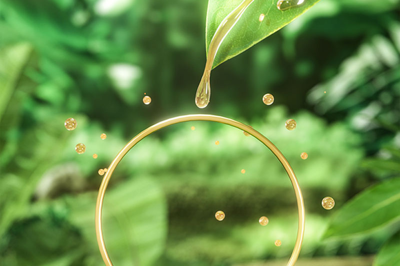 C4D工程-绿色植物叶子场景渲染工程植物叶子C4D模型下载