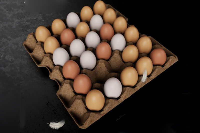 C4D模型-鸡蛋模型鸡蛋盒模型C4D模型下载