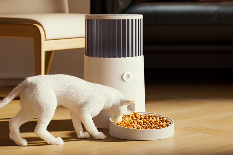 C4D工程-宠物喂食器场景渲染工程猫模型室内场景C4D模型下载