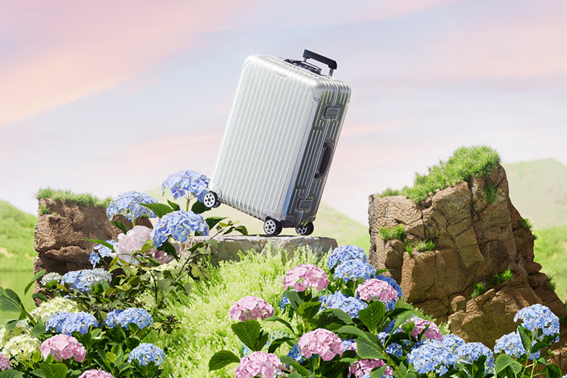 C4D工程-行李箱产品场景渲染工程花朵植物河流场景C4D模型下载