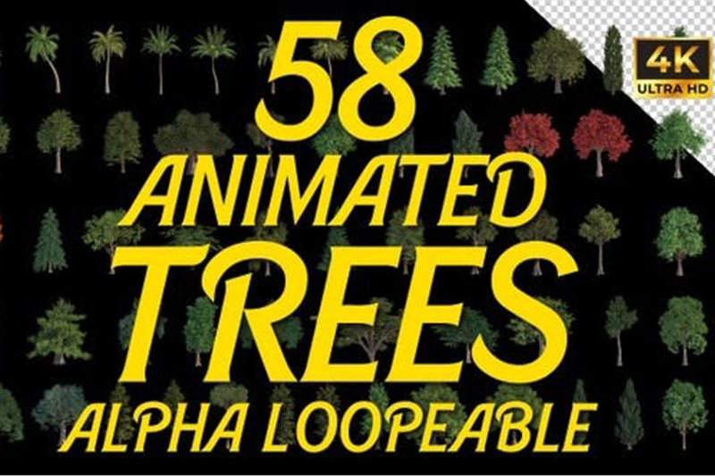 AE模板-58个植物树木动画视频素材 Animated Trees Alpha Loop Pack 4K